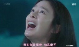 韩剧网龙八夷在线观看,揭秘神秘心理医生与天才黑客的奇幻爱情故事