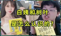 白姨新爆料视频大全最新,揭秘娱乐圈不为人知的秘密