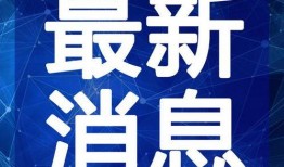 韩服奶爸爆料视频大全最新,揭秘游戏幕后故事与精彩瞬间