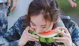 吃瓜明星免费,吃瓜明星背后的故事与真相