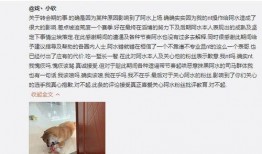网红表哥最新爆料周伟豪,揭秘周伟豪背后的惊人真相！