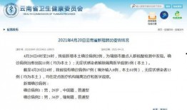 云南核酸最新爆料,揭秘疫情背后的真相与挑战