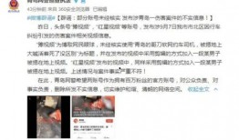 天津碧桂园爆料事件视频,揭露背后的惊人真相