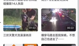 最新版方舟信息爆料软件,功能升级，情报更精准