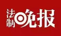 生活新闻爆料在哪里看,一网打尽最新资讯来源