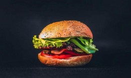 莫斯汉堡爆料视频,揭秘神秘食品制作过程