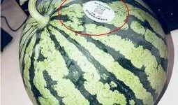 定州网红吃瓜,揭秘网络红人的幕后故事