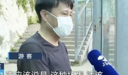 网红大佬吃瓜,揭秘娱乐圈幕后真相