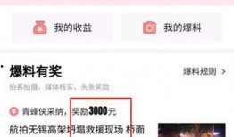 今日头条百色爆料,聚焦民生热点，探寻发展新动向