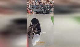 寒夜和小酒爆料视频全集,揭秘娱乐圈幕后真相