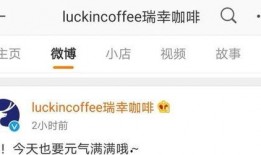 瑞幸最新订单爆料,揭秘爆款饮品背后的秘密