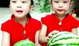 吃瓜小妈全文免费,揭秘娱乐圈背后的真实故事