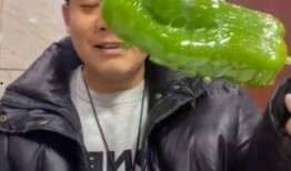 东北男网红吃瓜,瓜界新秀横空出世！
