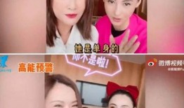 爆料张柏芝现状视频播放,生活点滴展现真实状态