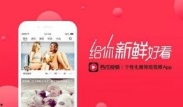 今日头条西瓜视频爆料,揭秘热门事件背后真相