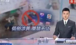 四平阿厦爆料视频大全集,揭秘背后真相与精彩瞬间