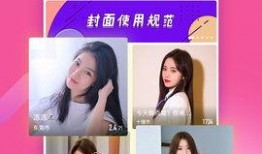 葵花皮肤爆料视频播放下载,精彩瞬间回顾与下载指南