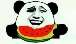 娱乐吃瓜酱如何省钱,轻松打造低成本快乐生活