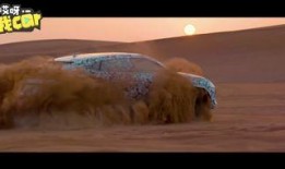 最新沙漠爆料消息视频播放,揭秘神秘沙漠奇观