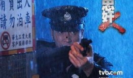 忠奸人电视剧在线观看,权谋风云，谁主沉浮