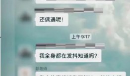 厦门家长群爆料视频,揭秘校园教育现状引发热议