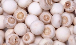 吃瓜爆料蘑菇视频,吃瓜爆料蘑菇视频带你探秘幕后真相