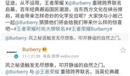 宝莉王者荣耀爆料视频,神秘英雄即将登场，技能揭秘与背景故事大揭秘！