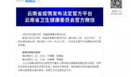 云南核酸最新爆料,揭秘疫情背后的真相与挑战