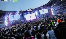 盛放音乐节爆料新闻稿,阵容升级，精彩看点抢先知