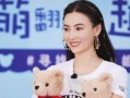 爆料张柏芝现状视频播放,生活点滴展现真实状态