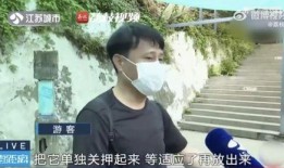 网红大佬吃瓜,揭秘娱乐圈幕后真相