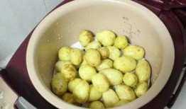 盐焗小鱼丸爆料视频大全,视频大全揭秘美味秘诀