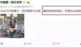 卓伟爆料过宋茜吗视频,揭秘宋茜幕后真相