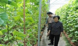 礼县吃瓜网红事件始末是真的吗,真相揭秘与网络舆论风暴