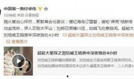 王懒懒被爆料的视频,揭秘背后真相