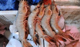 海鲜大虾真实爆料视频大全,视频大全背后的真相大起底