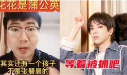 爆料导演事件视频大全集,揭秘影视圈幕后真相