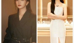 金鹰女神宋茜最新爆料,揭秘金鹰女神幕后故事