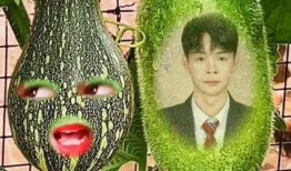 吃瓜小兔特效视频大全免费观看,笑料横生，欢乐无限
