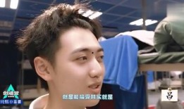 娱乐圈大爆料焉栩嘉,焉栩嘉背后的惊人真相