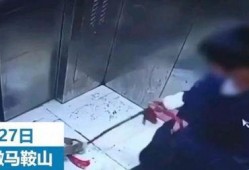 小男孩内鬼爆料视频,小男孩爆料视频背后的惊人真相