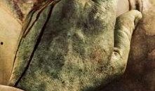 骨头男孩在线观看,奇幻冒险之旅在线观看攻略