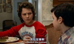 少年谢尔顿在线观看,天才少年的成长之旅
