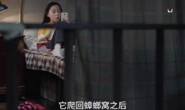 金发小姐姐爆料视频,揭秘幕后真相