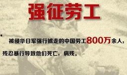 一寸山河一寸在线观看,在线重温历史巨作
