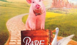 小猪宝贝在线观看,欢乐成长之旅