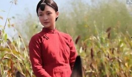 红高粱电视剧全集在线观看48集,激情燃烧的岁月